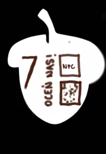 Szkic